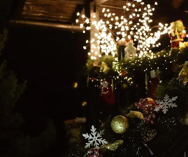 Apartment Park Zlatibor